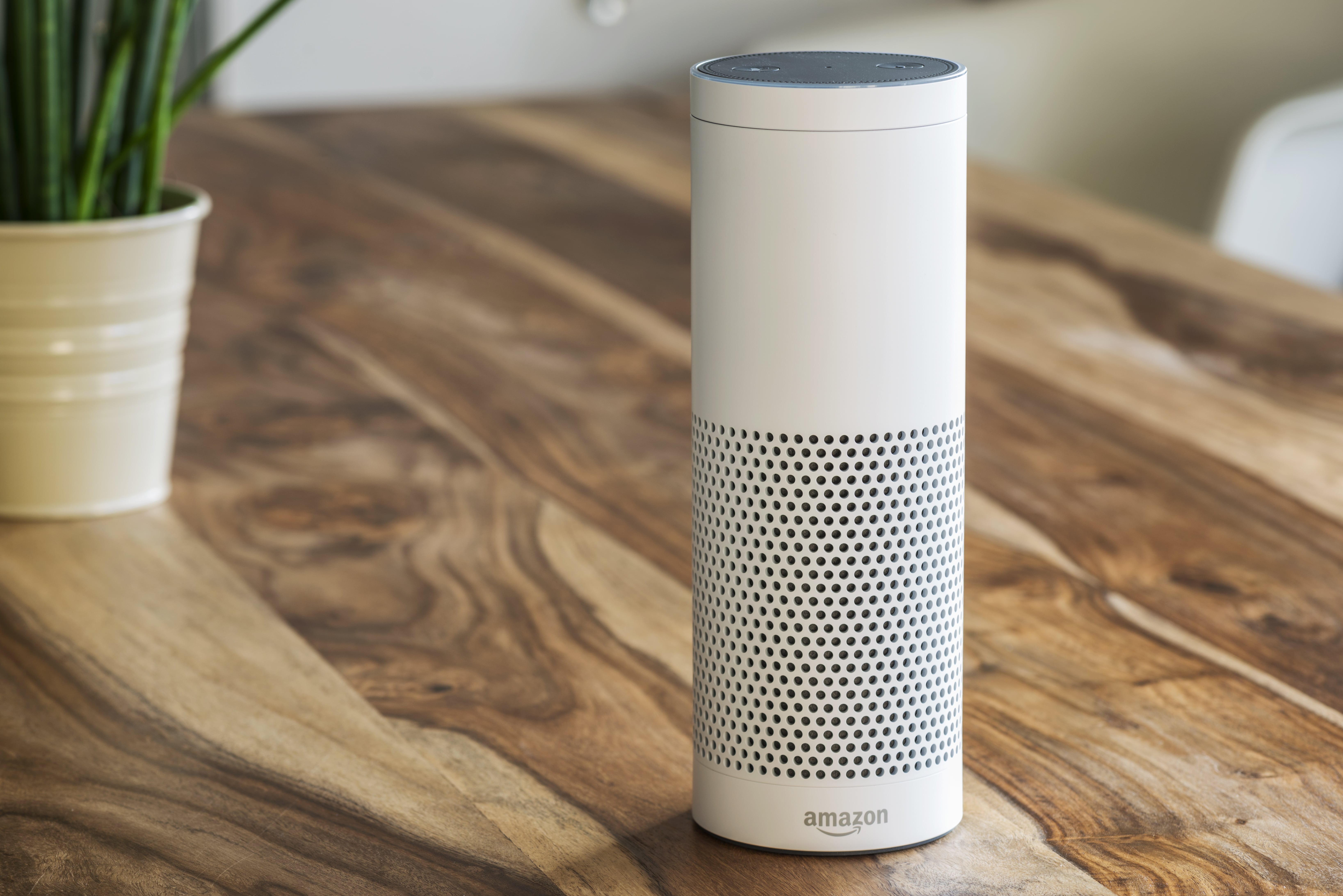 SEO for voice