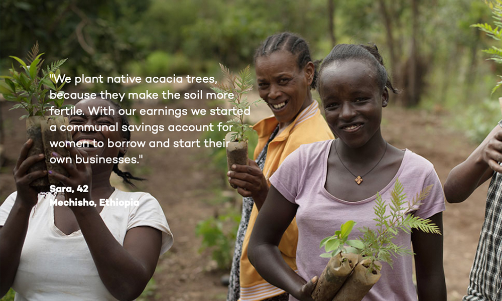 Ecosia Search Engine